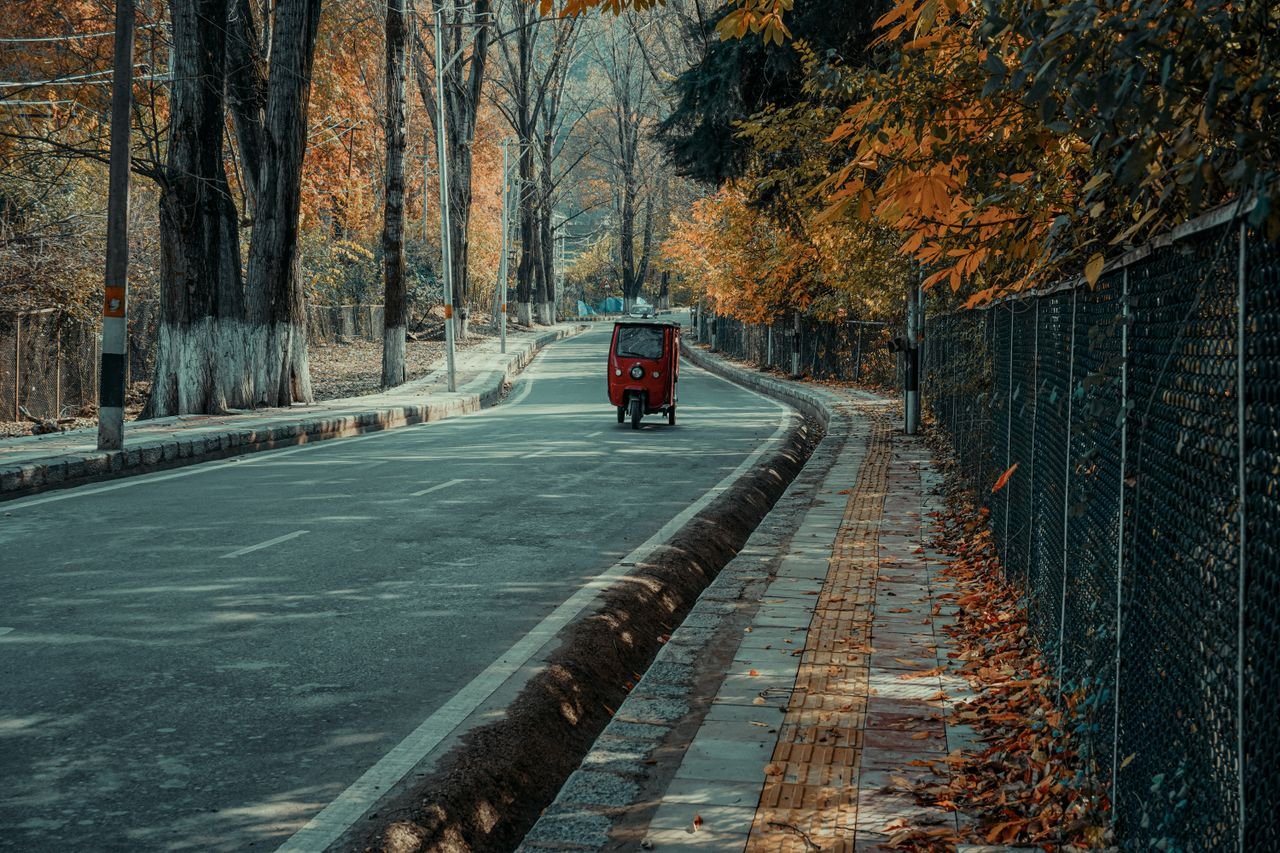 Crafting Captivating Headlines: Your awesome post title goes here A solitary red auto rickshaw travels down a quiet road lined with autumn trees in Srinagar.